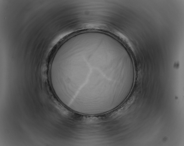 X0000102021019200808081743