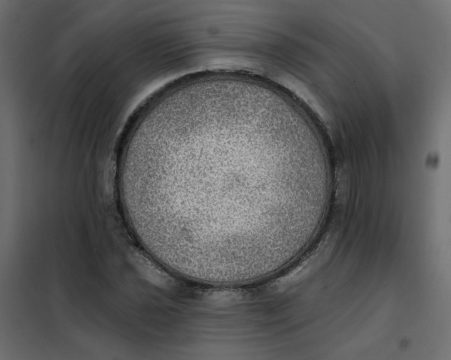 X0000102021021200808081743