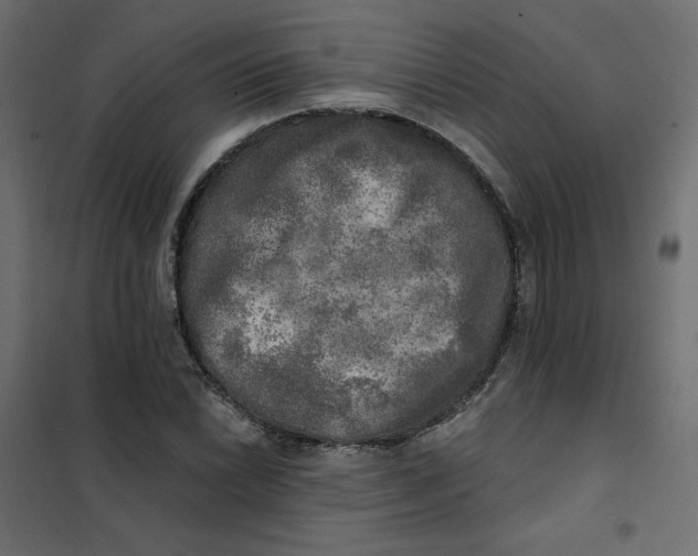 X0000102021022200808081743