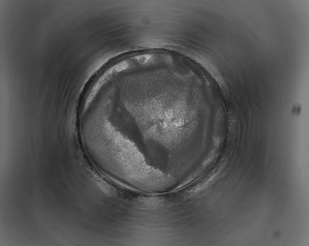 X0000102021023200808081743