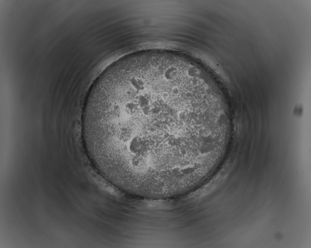 X0000102021025200808081743