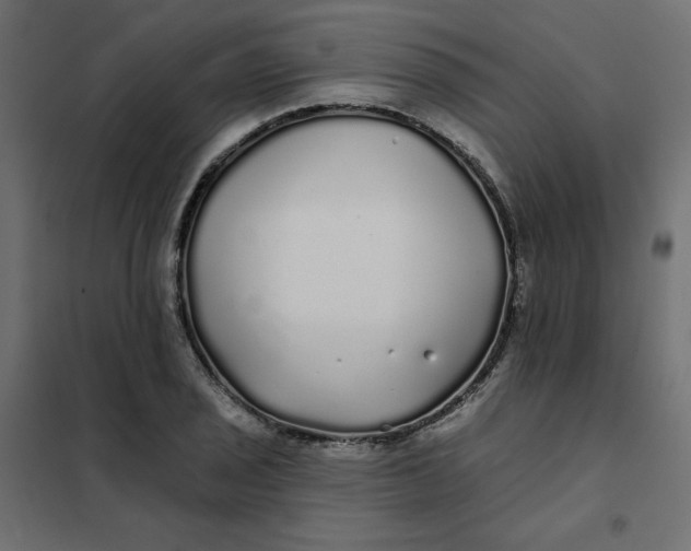 X0000102021029200808081743