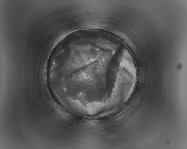 X0000102021031200808081743