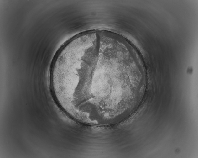 X0000102021032200808081743