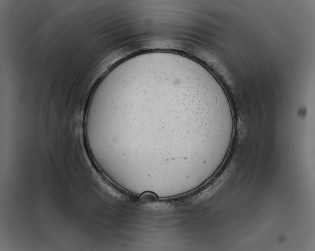 X0000102021033200808081743