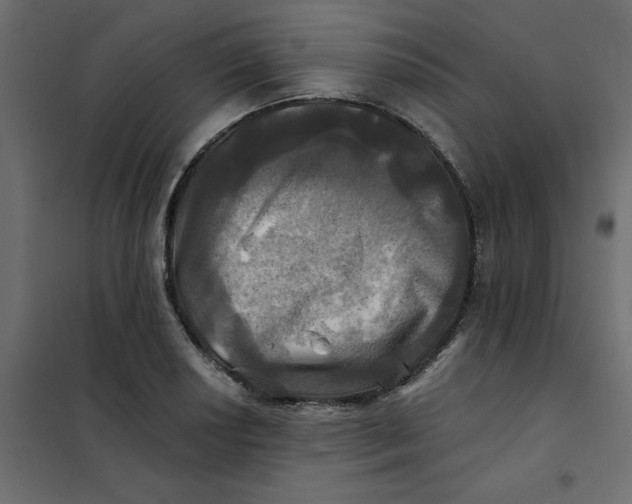 X0000102021034200808081743