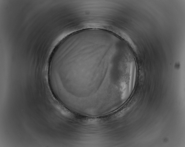 X0000102021035200808081743
