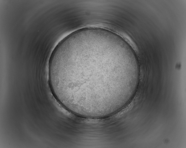 X0000102021036200808081743