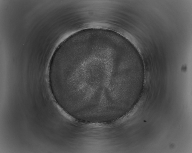 X0000102021037200808081743