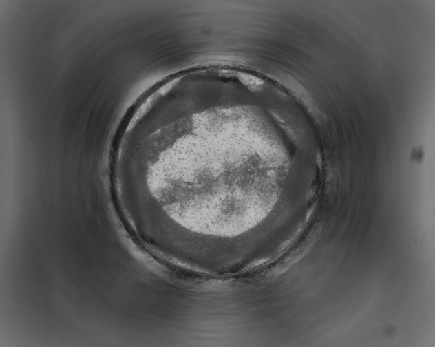 X0000102021038200808081743