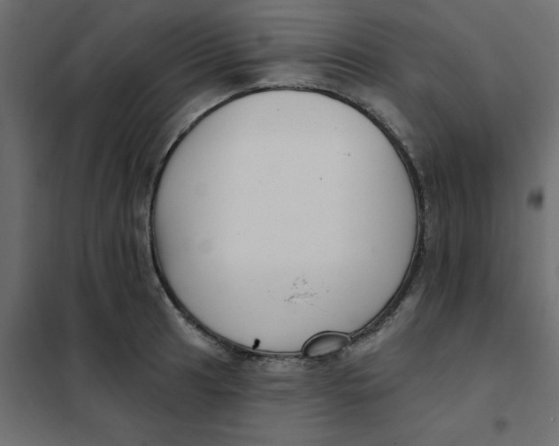 X0000102021041200808081743
