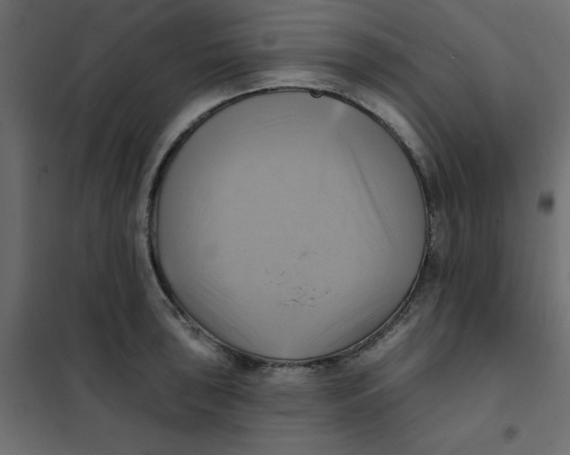 X0000102021043200808081743