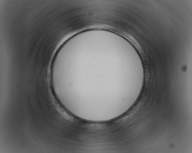 X0000102021044200808081743