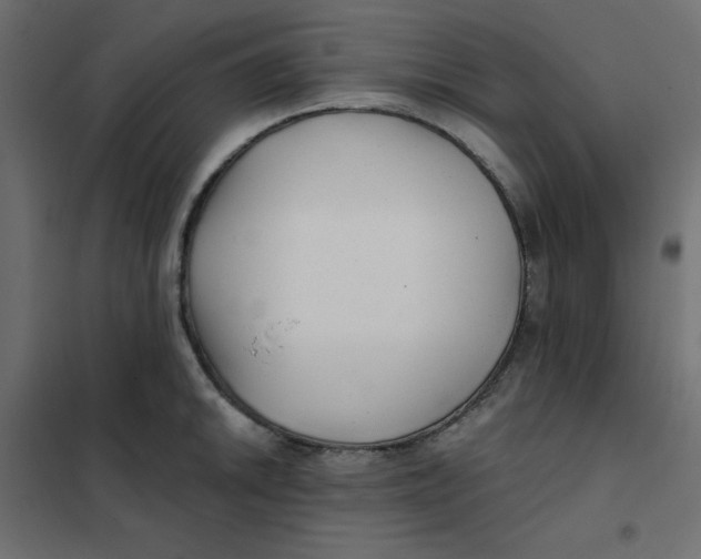 X0000102021046200808081743