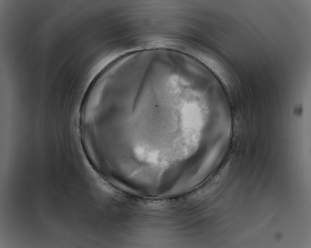 X0000102021047200808081743