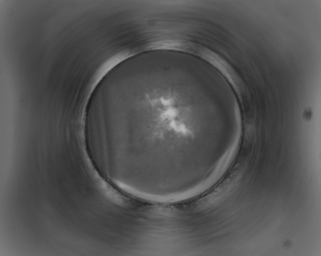 X0000102021050200808081744