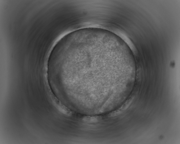 X0000102021051200808081744