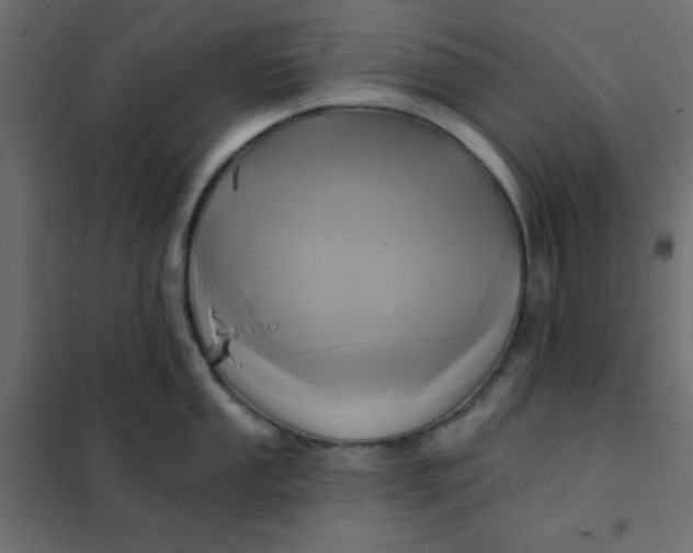 X0000102021053200808081744