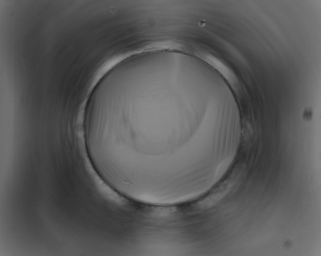 X0000102021055200808081744