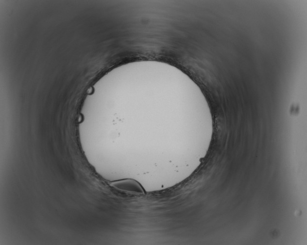X0000102021057200808081743