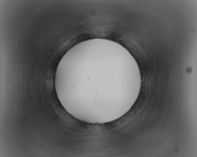 X0000102021058200808081743