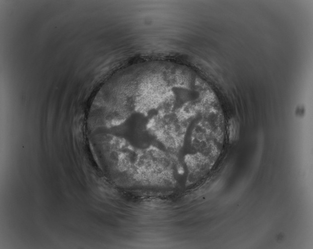 X0000102021059200808081743