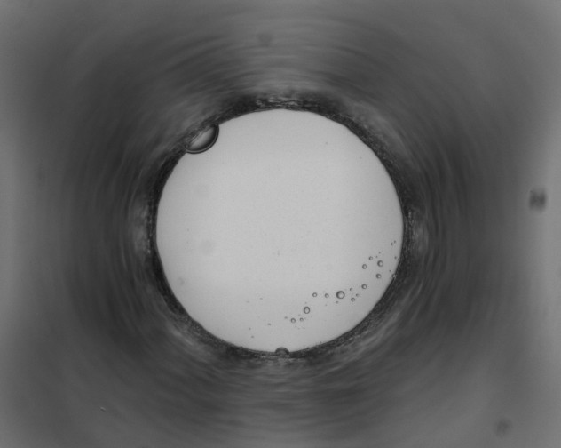 X0000102021060200808081743
