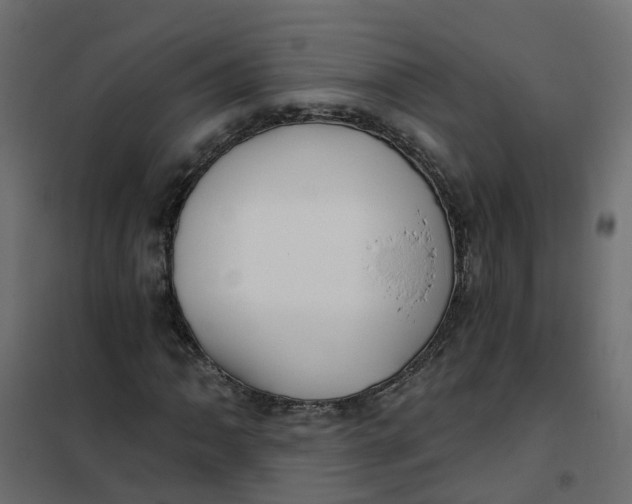 X0000102021062200808081743