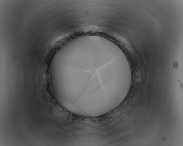 X0000102021063200808081743