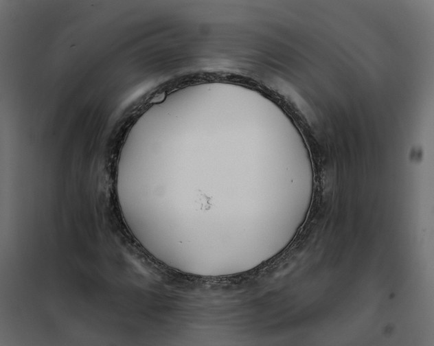 X0000102021064200808081743