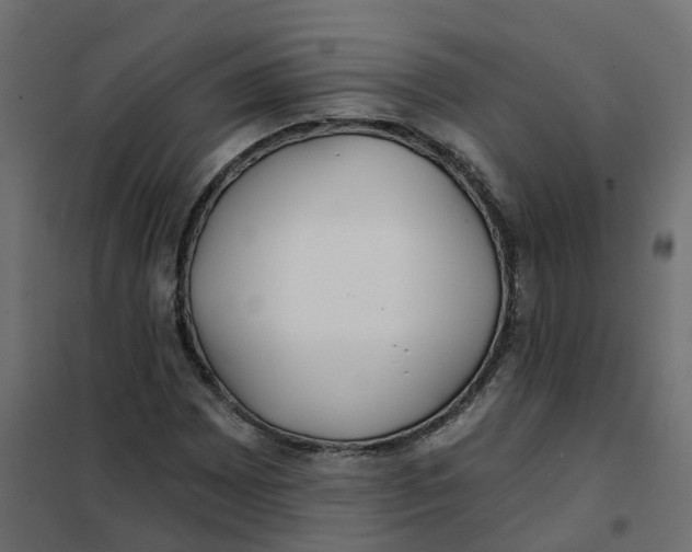 X0000102021065200808081743