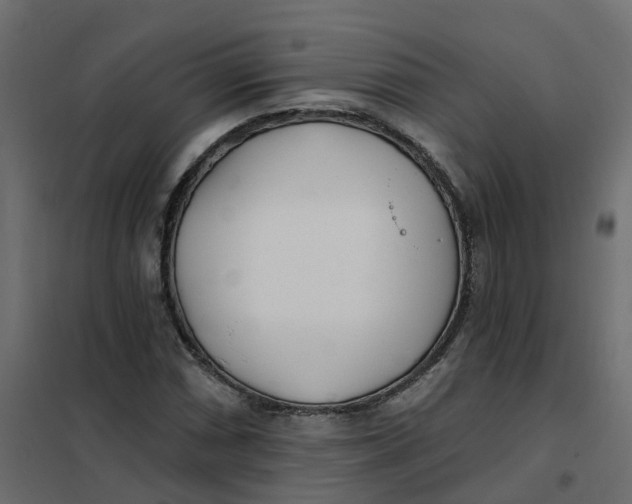 X0000102021066200808081743