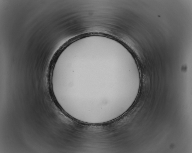 X0000102021068200808081743