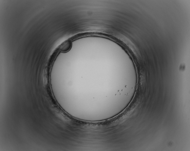 X0000102021069200808081743