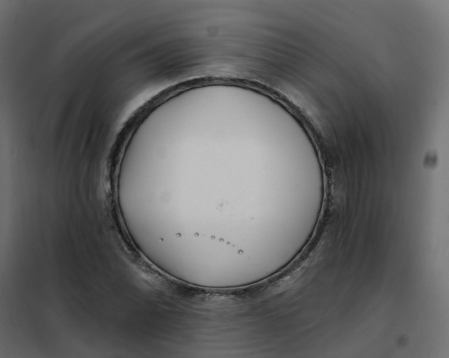 X0000102021070200808081743