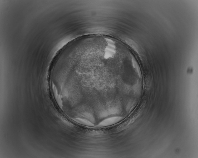 X0000102021071200808081743