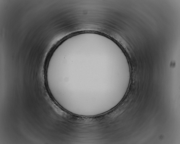 X0000102021072200808081743