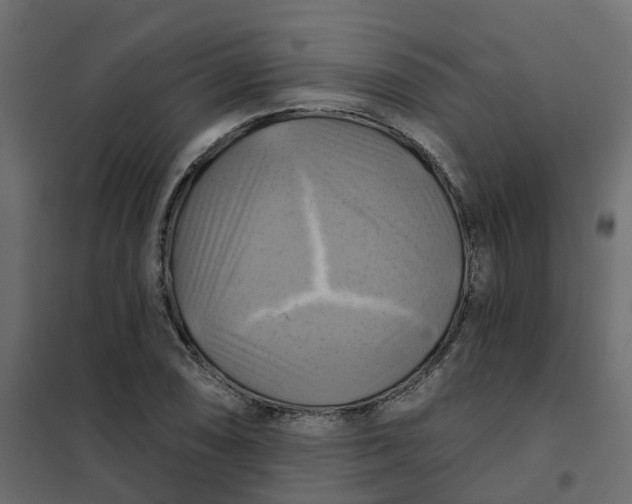 X0000102021074200808081743