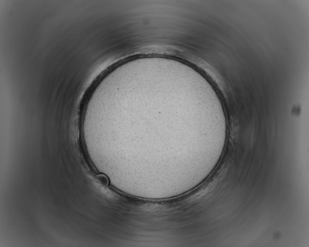 X0000102021075200808081743