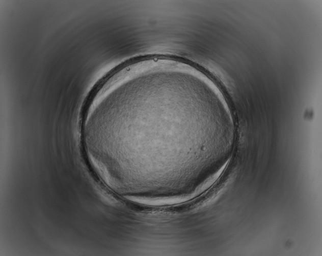 X0000102021077200808081743
