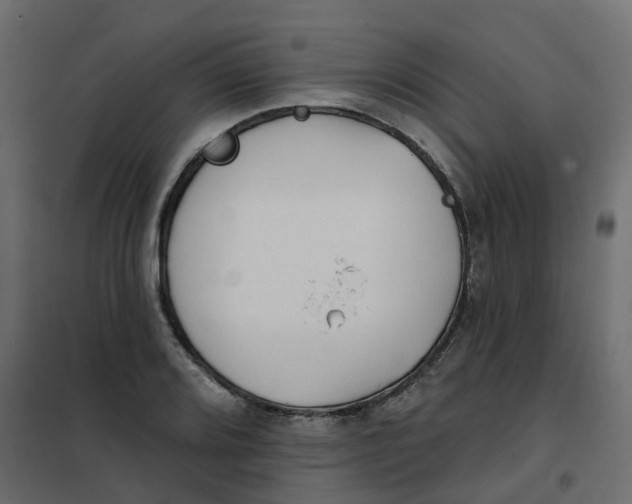 X0000102021080200808081743