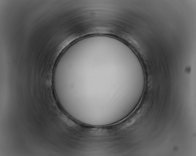 X0000102021081200808081743