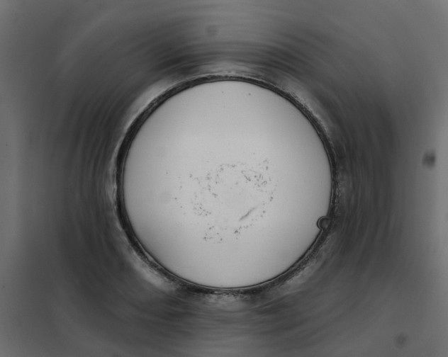 X0000102021082200808081743