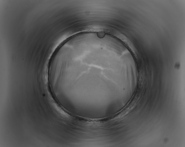 X0000102021083200808081742
