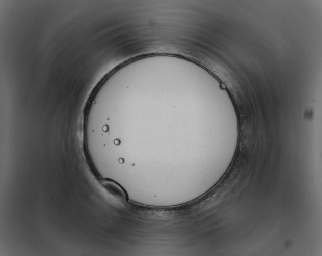 X0000102021084200808081742