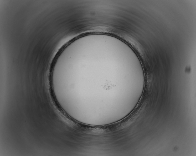 X0000102021085200808081742