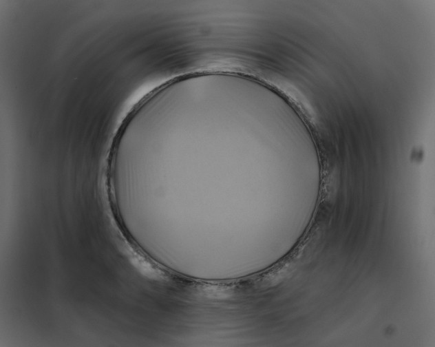X0000102021086200808081742