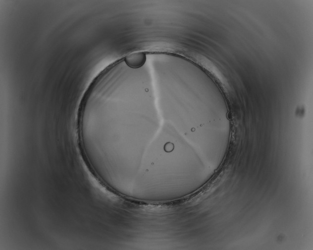 X0000102021087200808081742