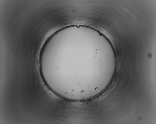 X0000102021088200808081742