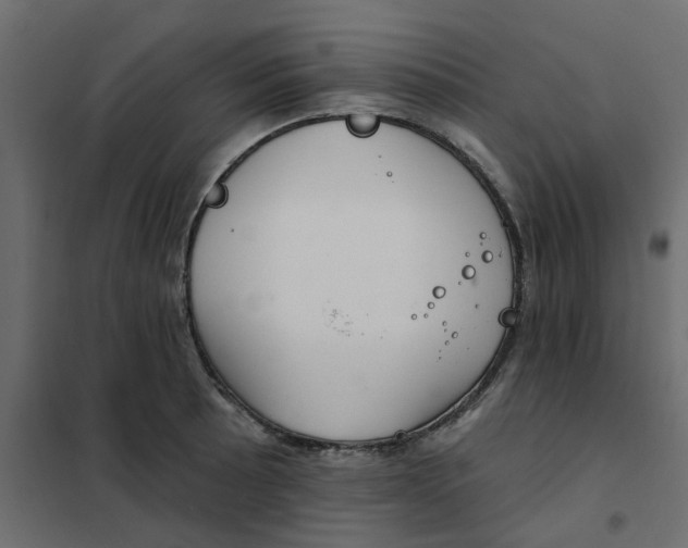 X0000102021089200808081742